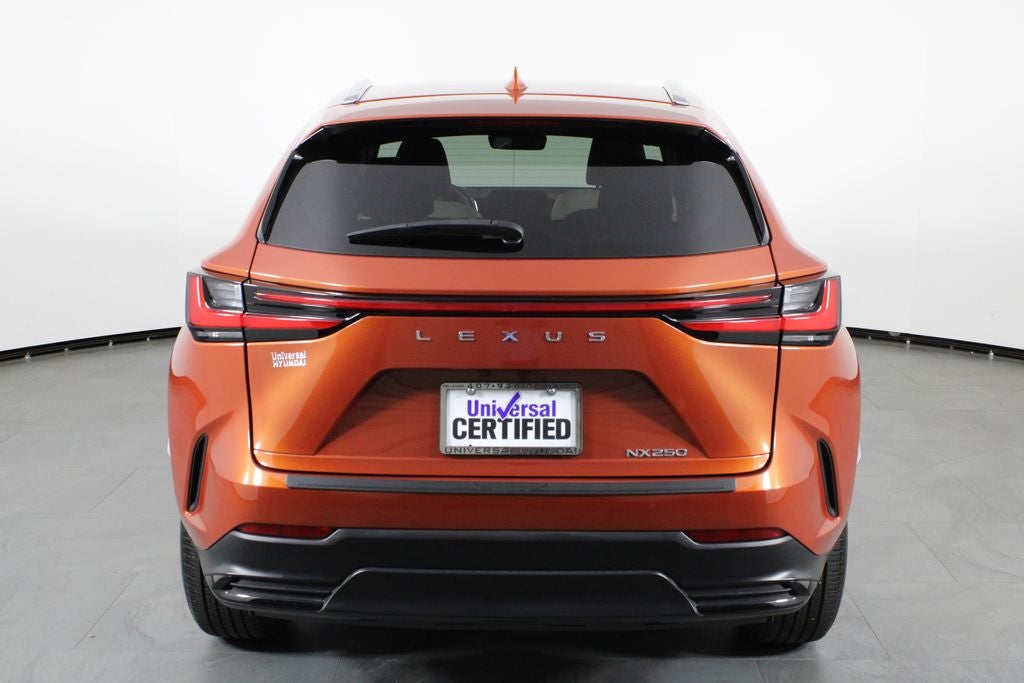 2024 Lexus NX 250 Base
