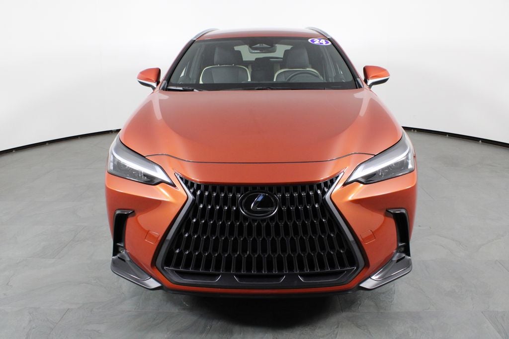 2024 Lexus NX 250 Base