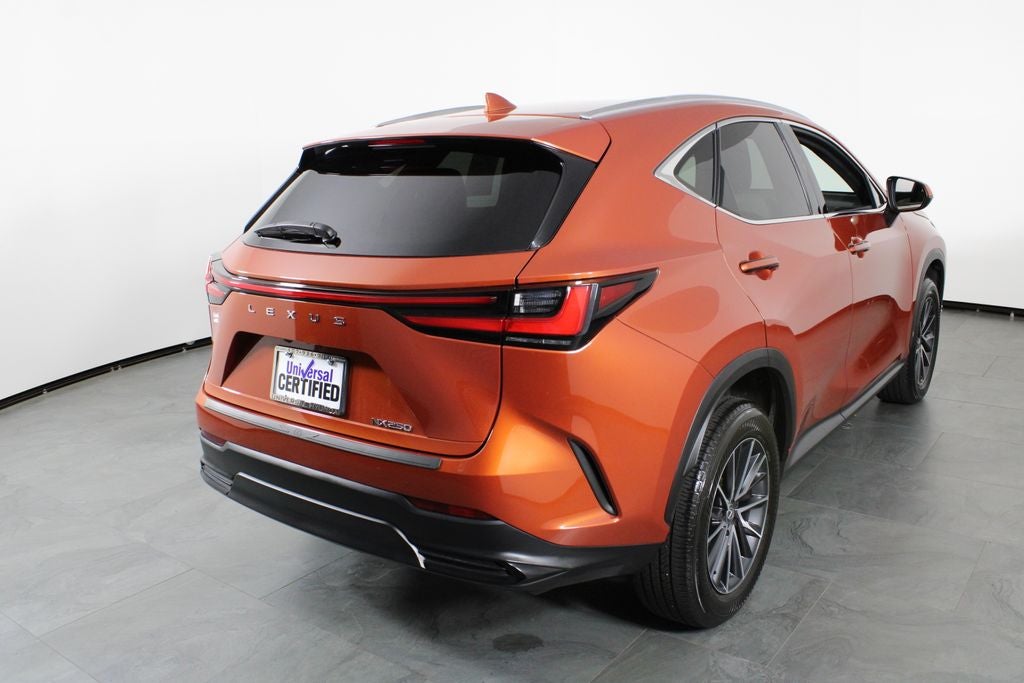 2024 Lexus NX 250 Base