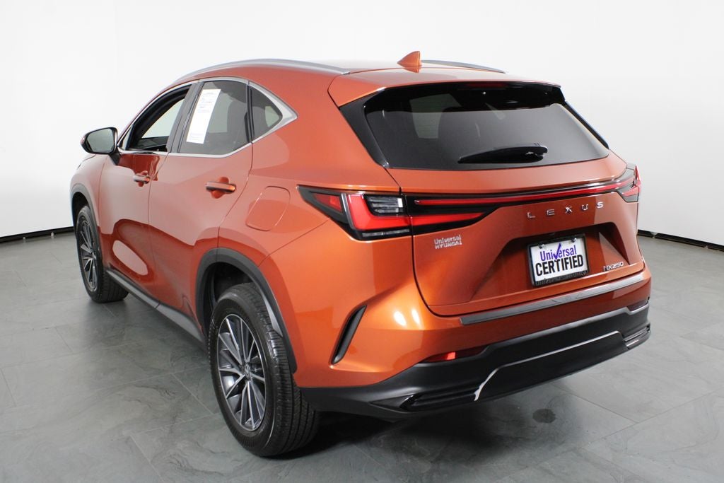 2024 Lexus NX 250 Base