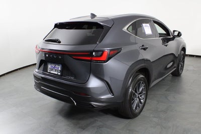 2024 Lexus NX 250 Premium