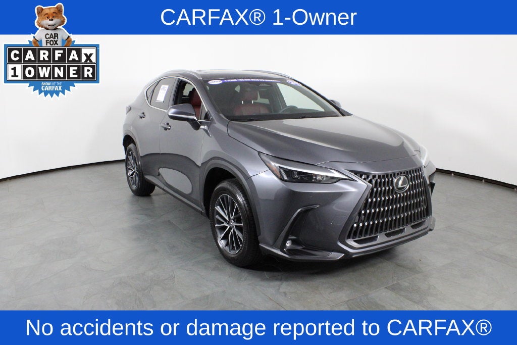 2024 Lexus NX 250 Premium