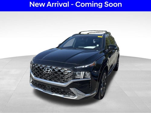 2023 Hyundai Santa Fe Calligraphy
