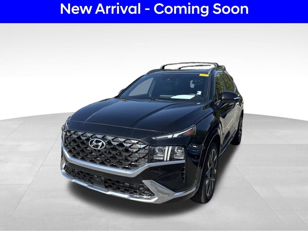 2023 Hyundai Santa Fe Calligraphy