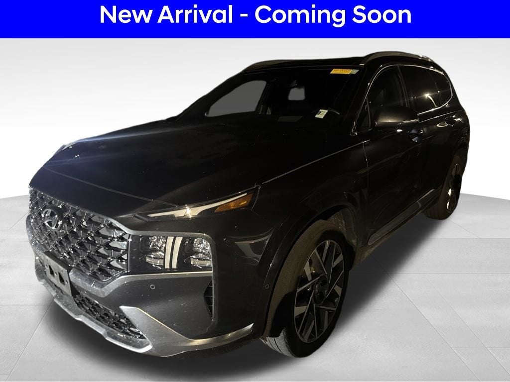 2023 Hyundai Santa Fe Calligraphy