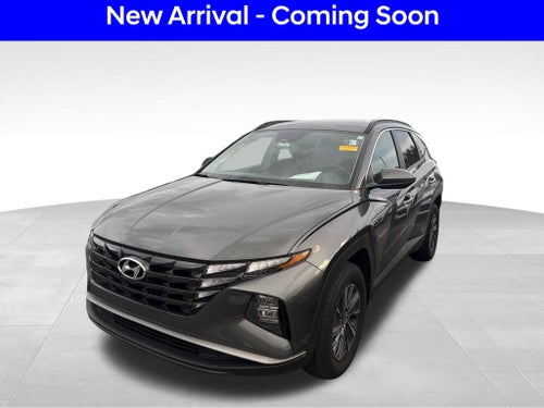 2024 Hyundai Tucson Hybrid Blue