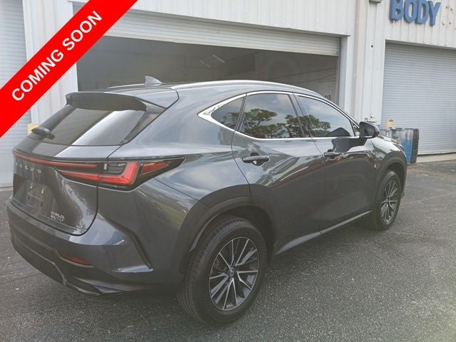 2024 Lexus NX 250 Premium